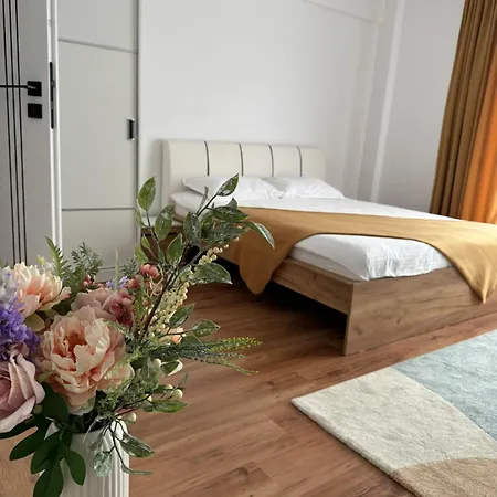 Daire Like Kaloşvar